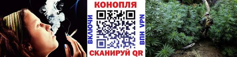 Бошки Шишки Amnesia  купить наркотик  Кодинск 
